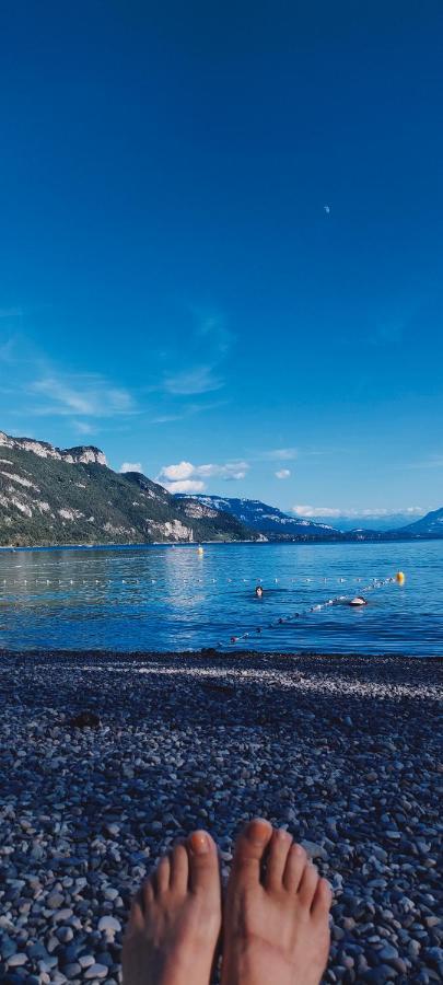 Entre Lacs Et Montagnes Cusy Bagian luar foto